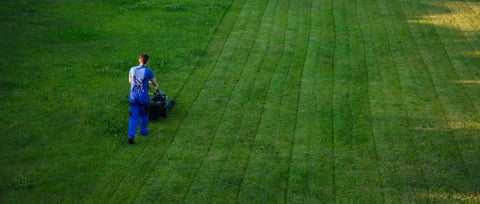 Aerial view of professional lawn maintenance