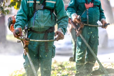 Professional groundskeepers trimming grass