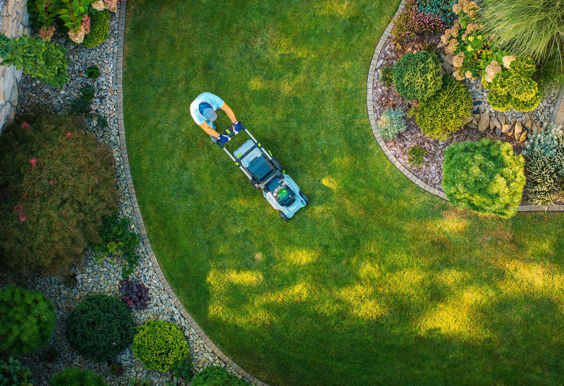 Professional lawn care and landscaping services