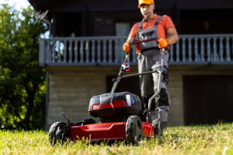 Professional lawn mowing service