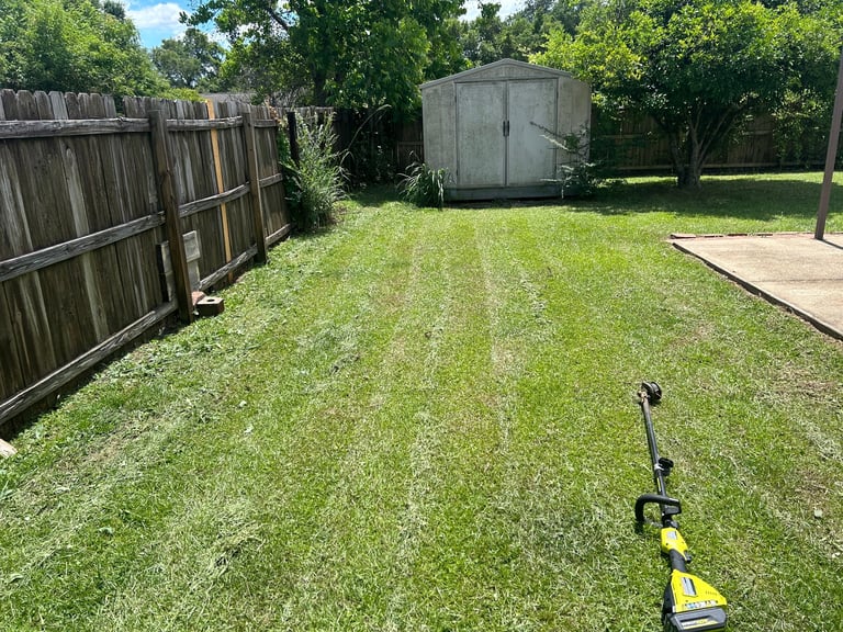 Yellow and black metal detector on green lawn with wooden fence, shed, and mature trees in background