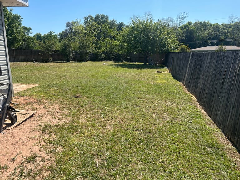 Spacious backyard with green lawn, metal fence, and wooded tree line under clear blue sky
