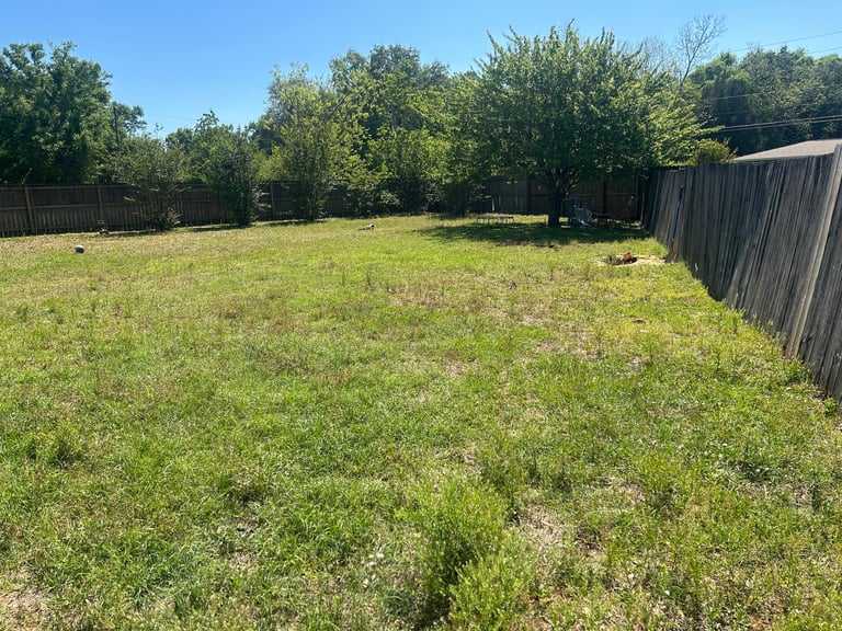 Spacious backyard with patchy green grass, mature trees in background, and metal fence on right side under clear blue sky