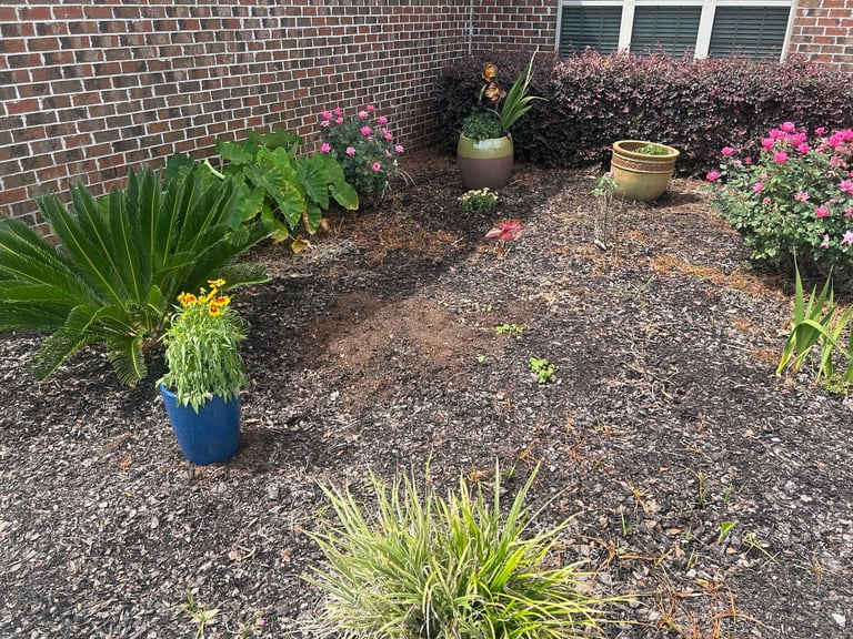 Brick house foundation garden bed with ornamental plants, pink flowers, and potted plants on mulch
