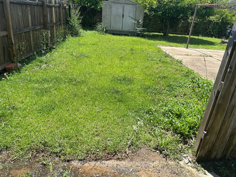 Overgrown residential backyard with patchy grass, wooden fences, and concrete patio in background